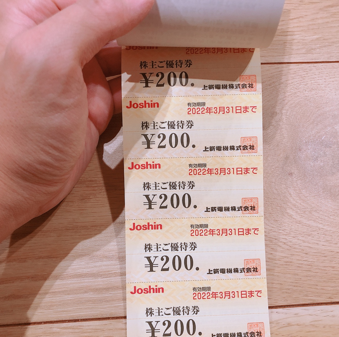 上新電機 株主優待 6000円分(200円券30枚綴) 24.6.30迄